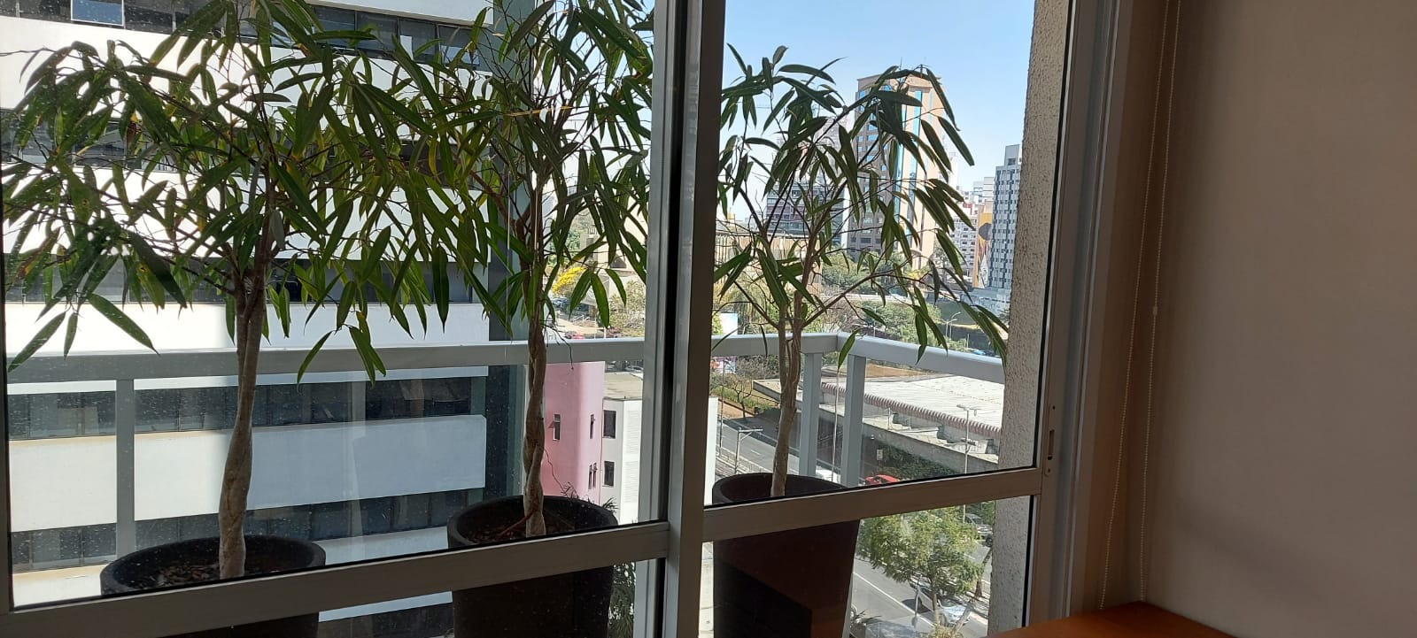 Sala comercial para Venda e Locação - Aclimação, São Paulo