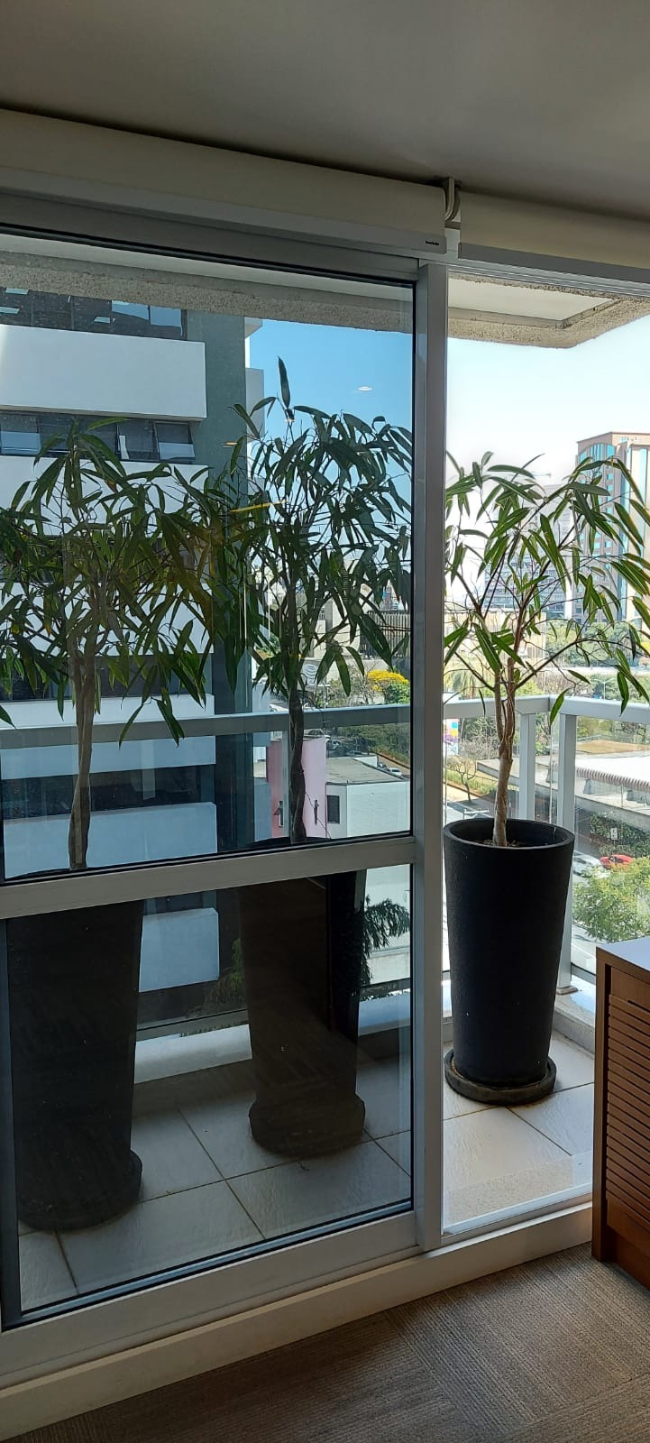 Sala comercial para Venda e Locação - Aclimação, São Paulo