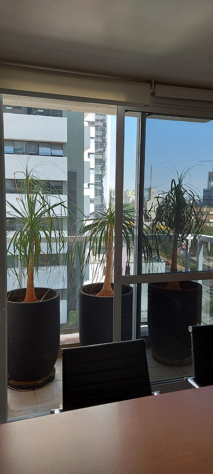 Sala comercial para Venda e Locação - Aclimação, São Paulo