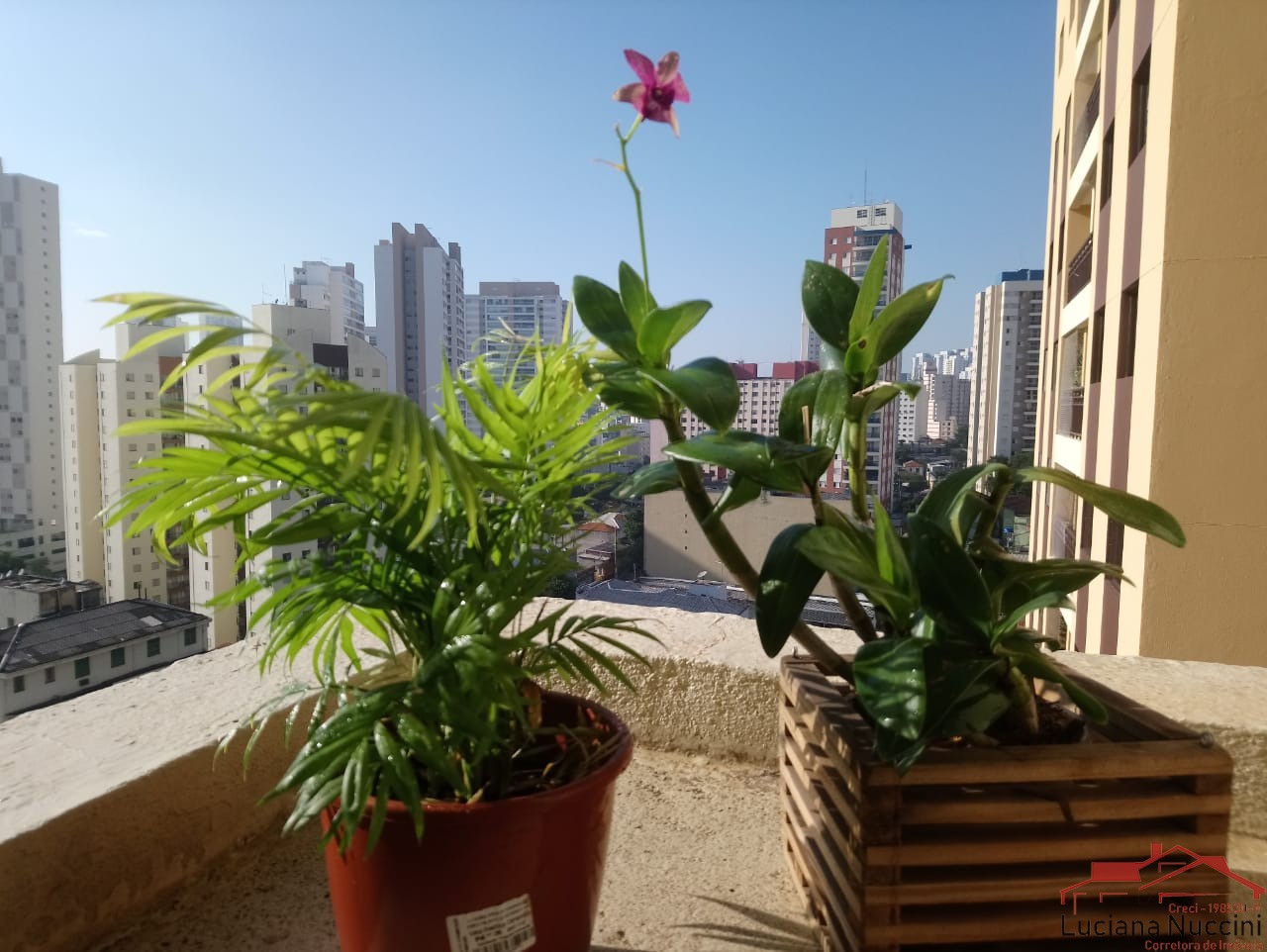 Apartamento residencial em são paulo - sp, aclimação