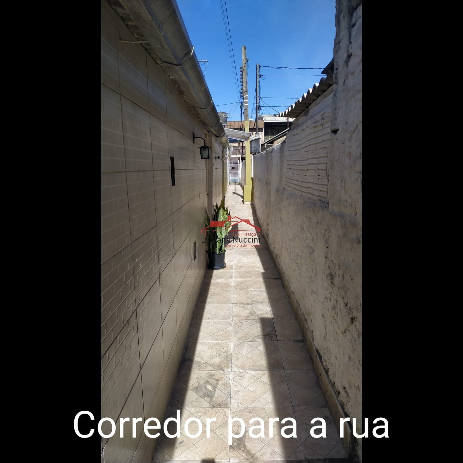 Terreno 5 casas à venda no Moinho Velho