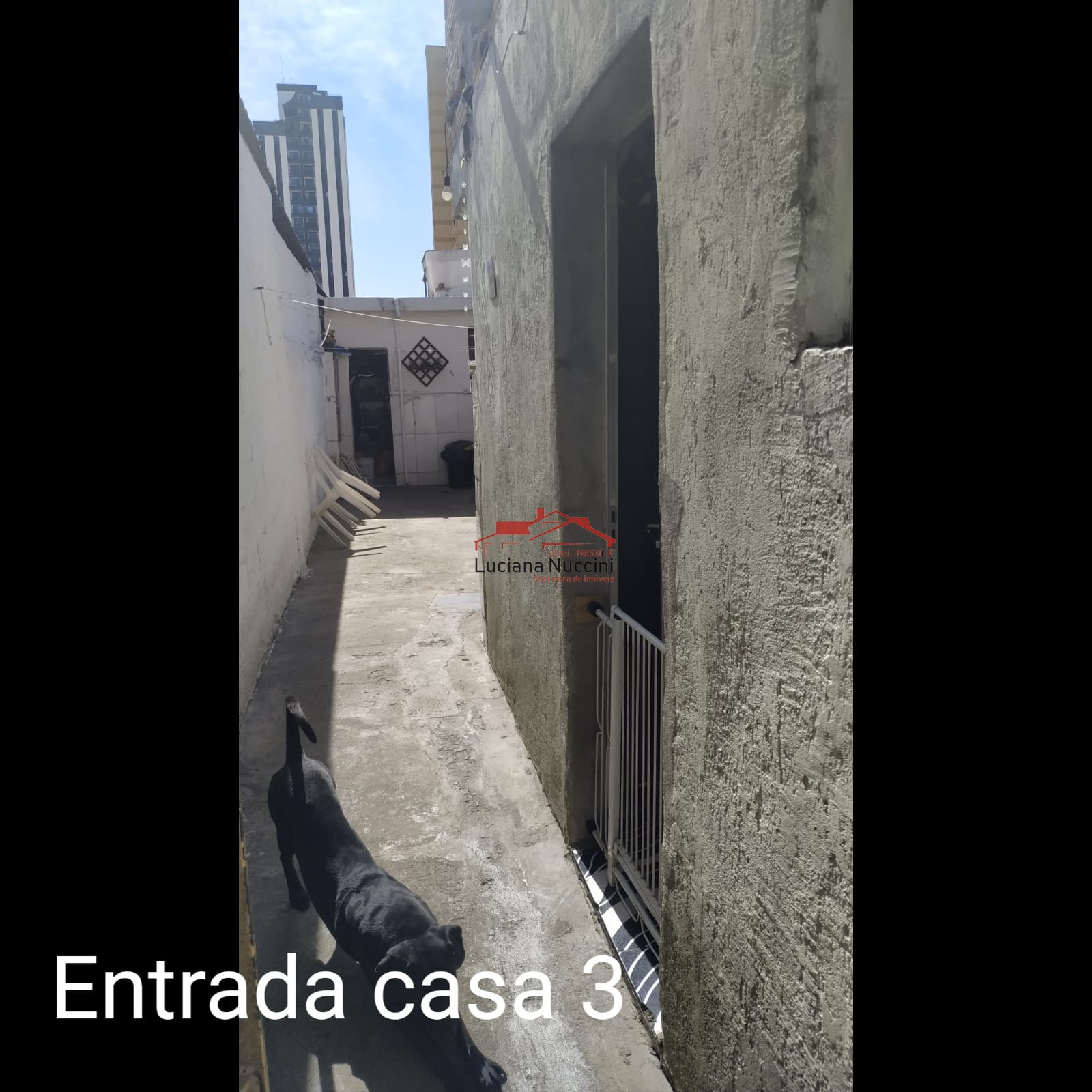 Terreno 5 casas à venda no Moinho Velho