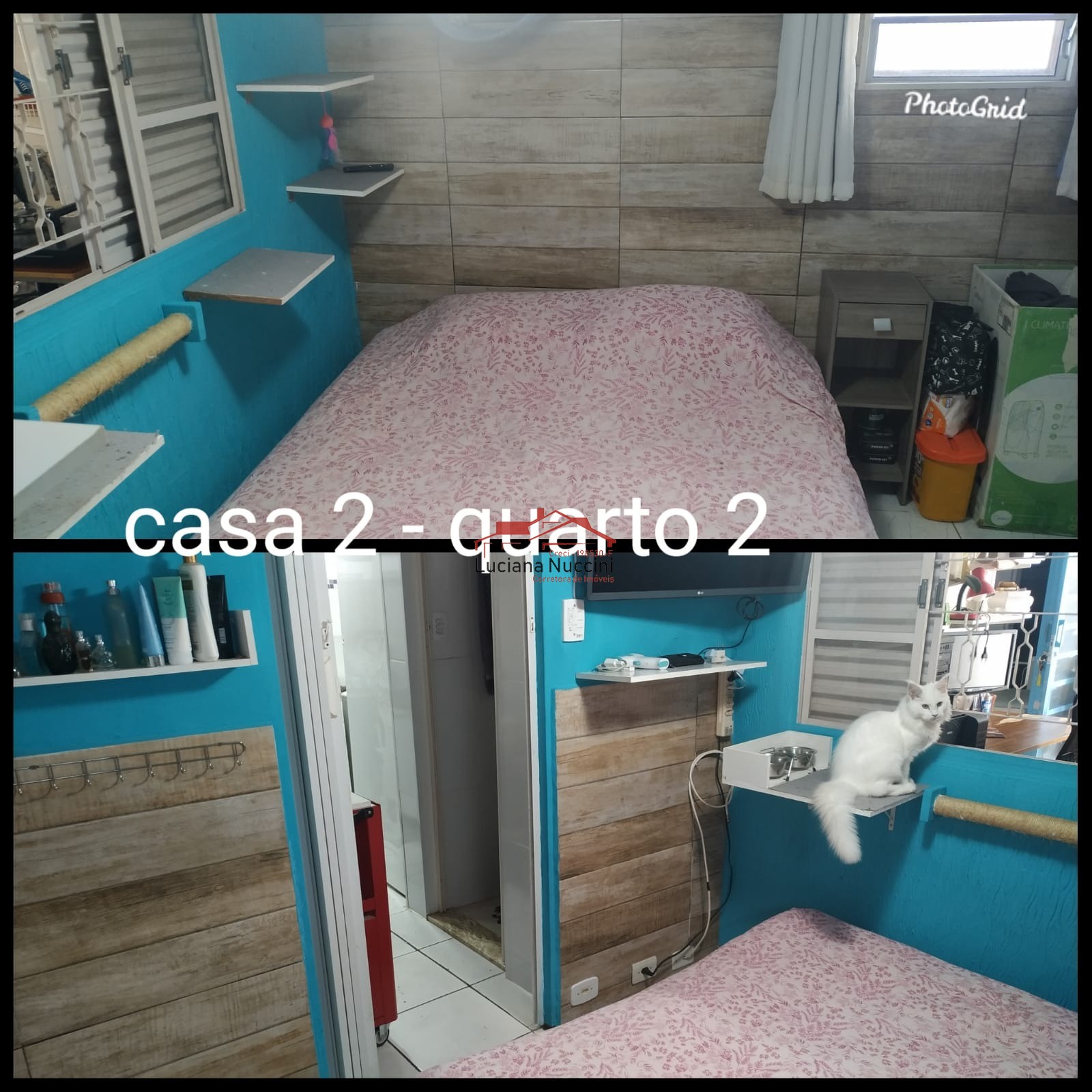 Terreno 5 casas à venda no moinho velho