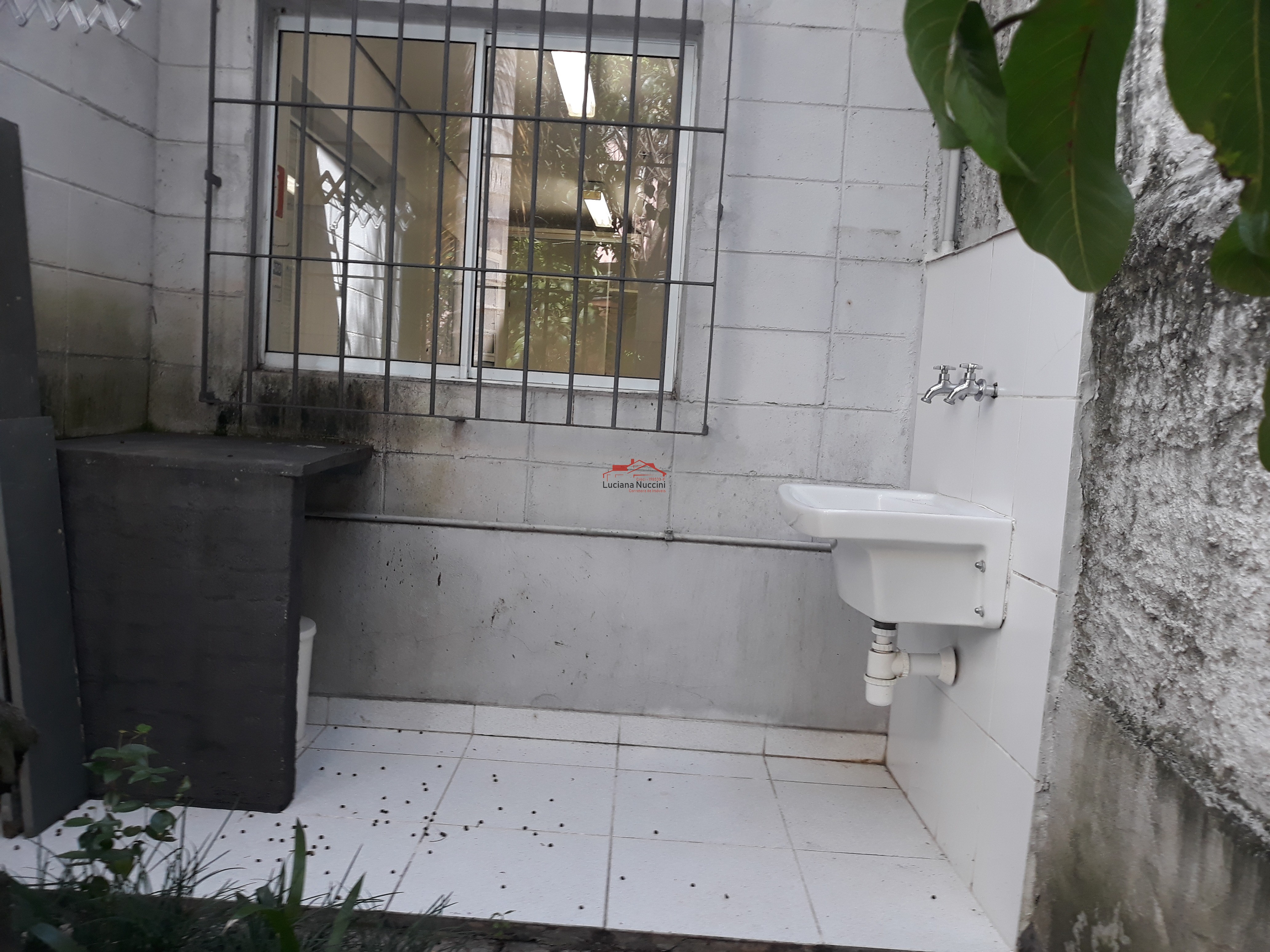 Galpão comercial à venda em São Paulo-SP, Cambuci, com 805m² de área. Venha conferir!