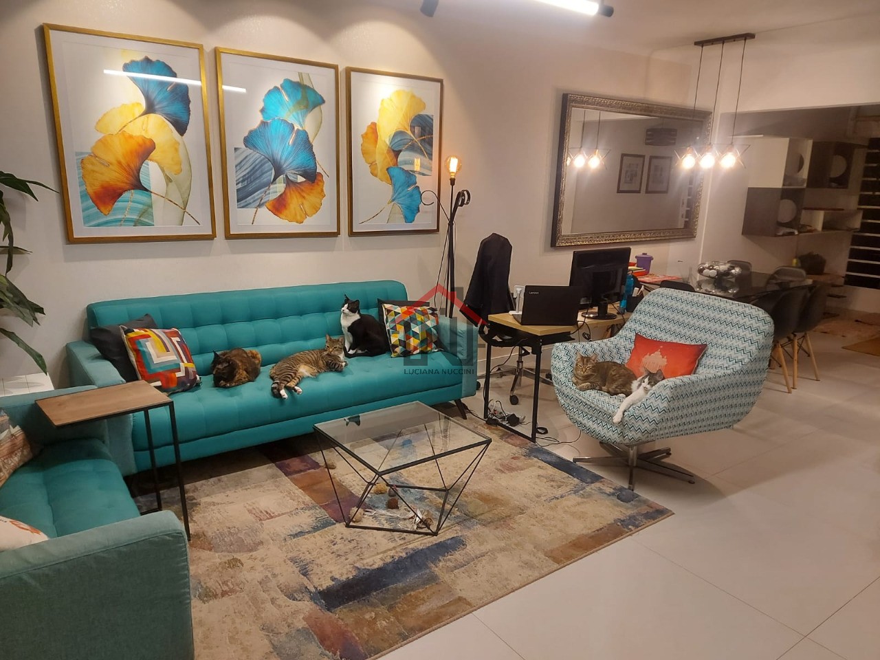 Imperdível oportunidade: casa à venda em são paulo-sp, cidad