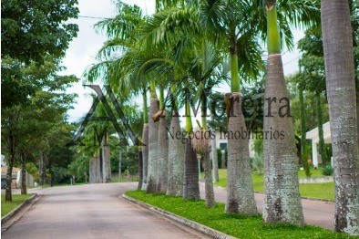 Maravilhoso terreno no portal dos resedás
