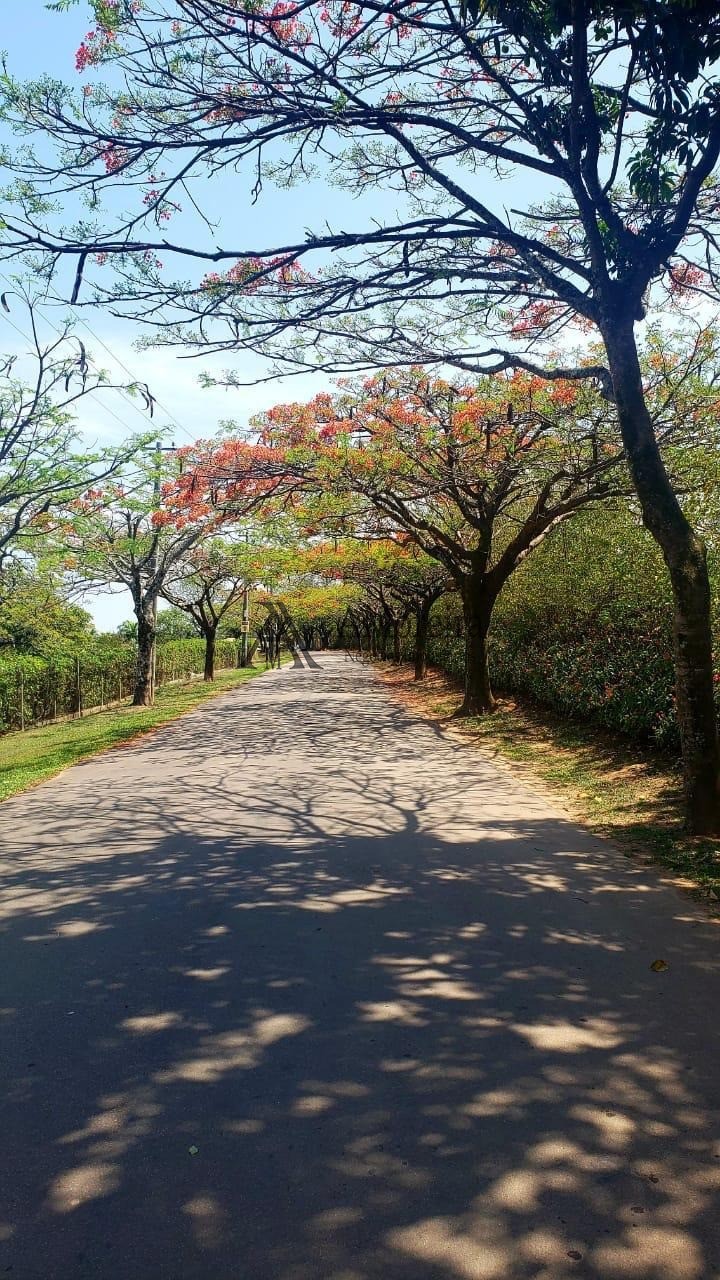 Maravilhoso terreno no portal dos resedás