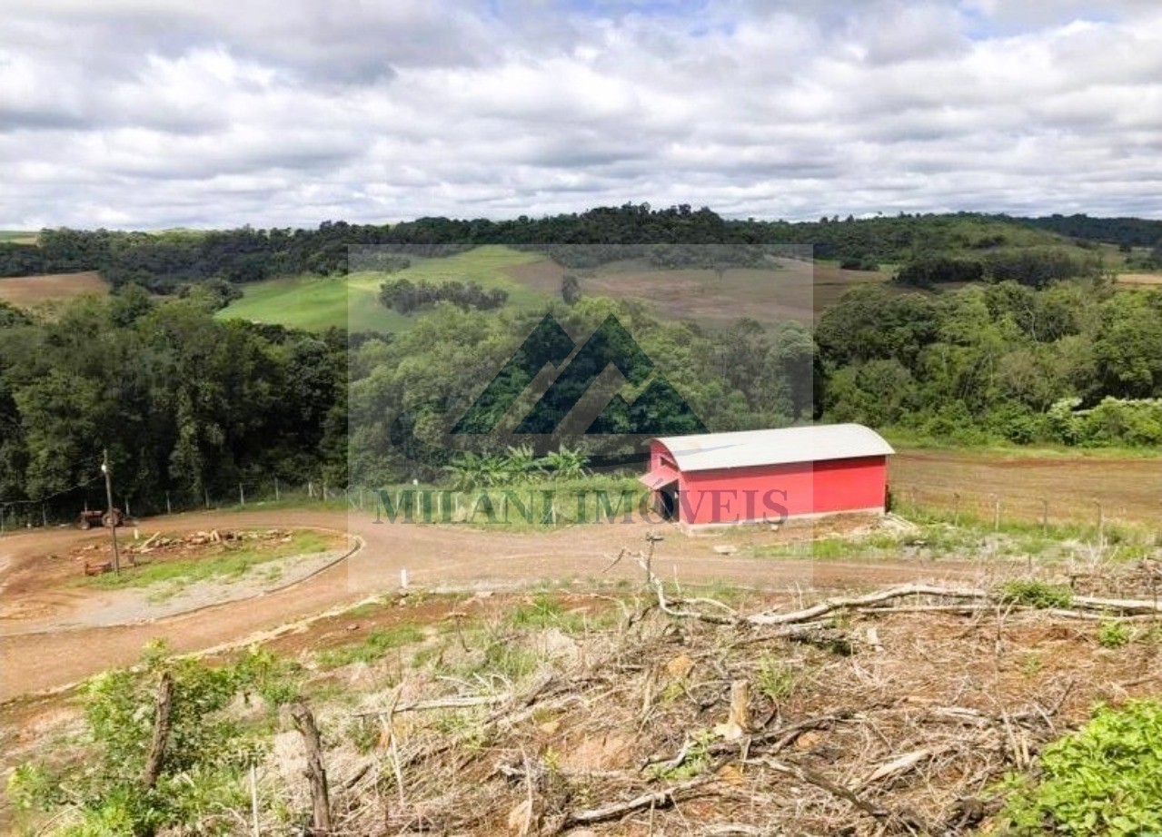 Granja à venda em pranchita! 5 alqueires de terra licenciada