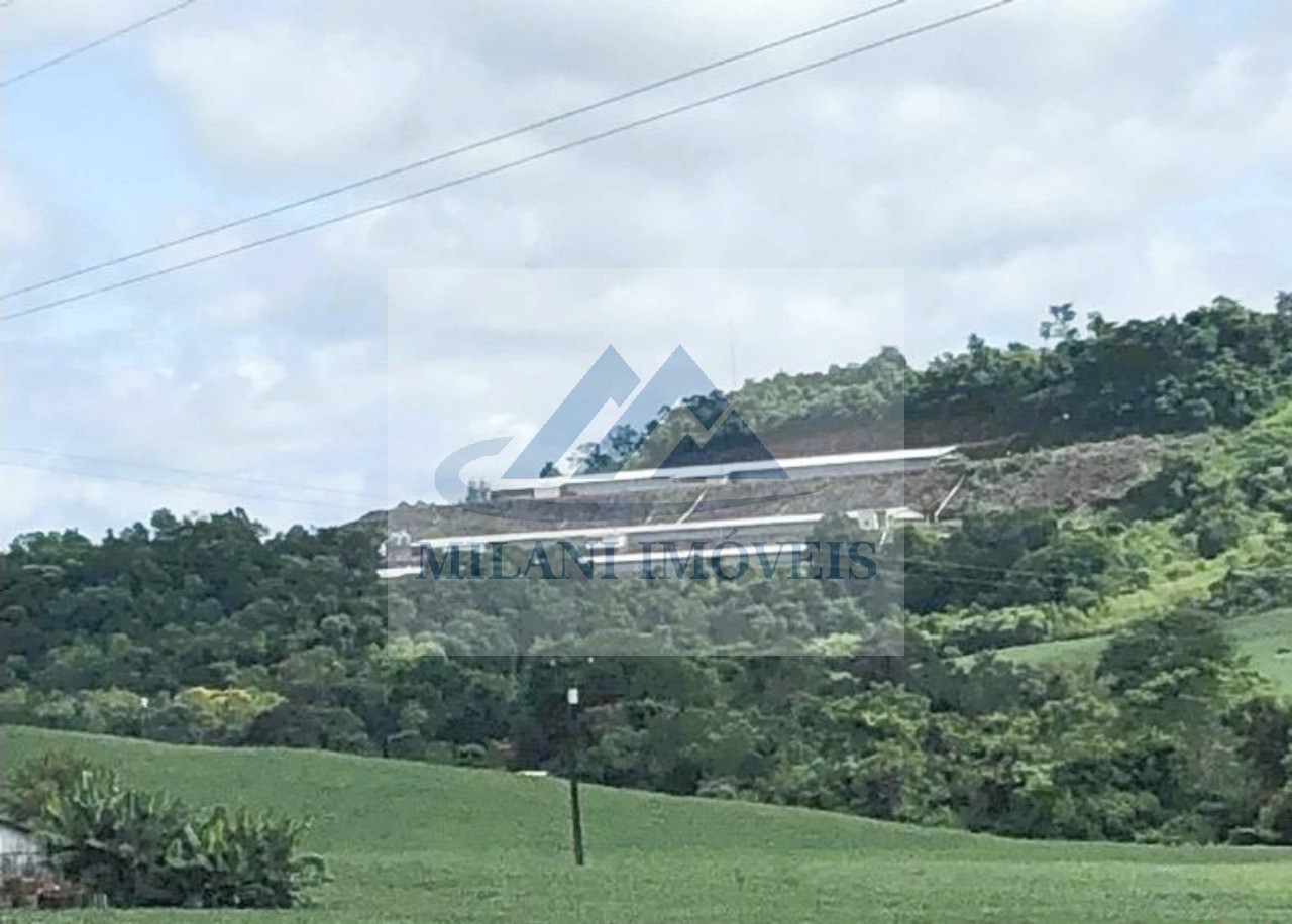 Granja à venda em pranchita! 5 alqueires de terra licenciada