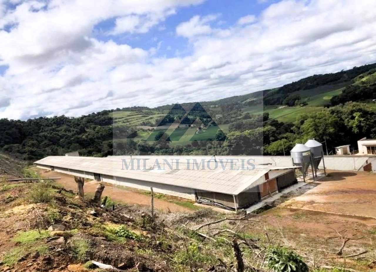 Granja à venda em pranchita! 5 alqueires de terra licenciada