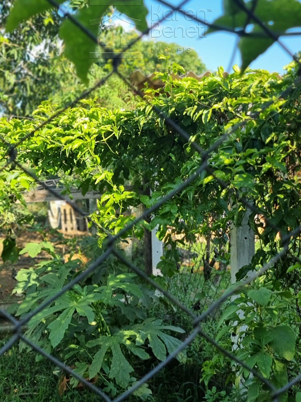 Chácara, 2 quartos - Foto 14