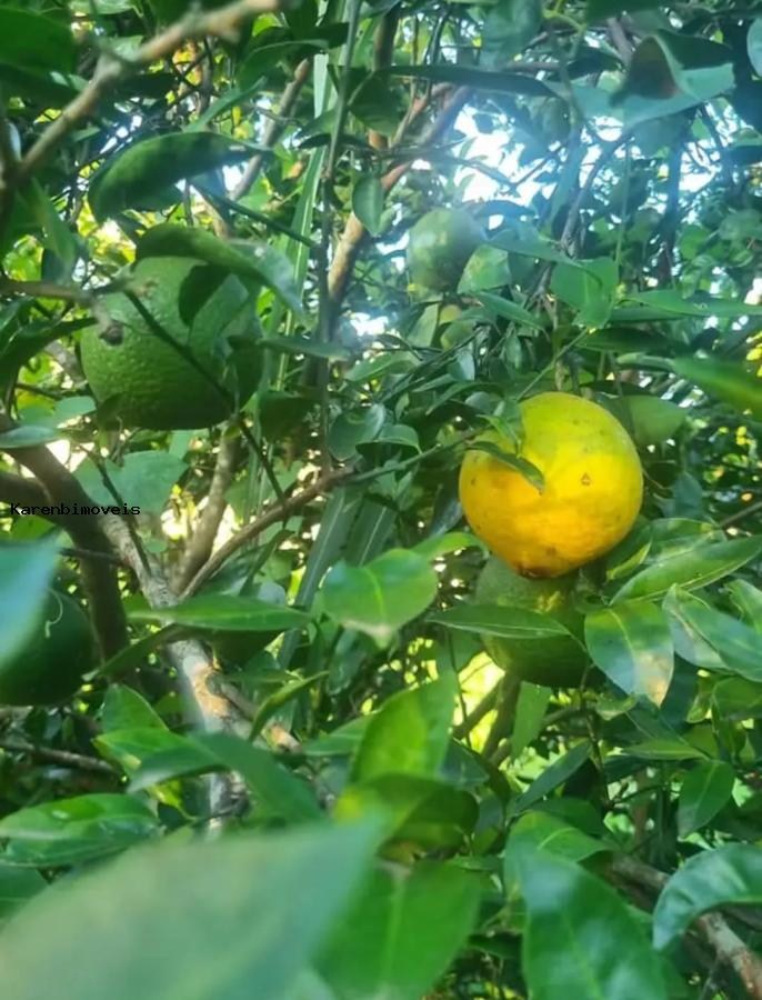 Terreno, 500 m² - Foto 4