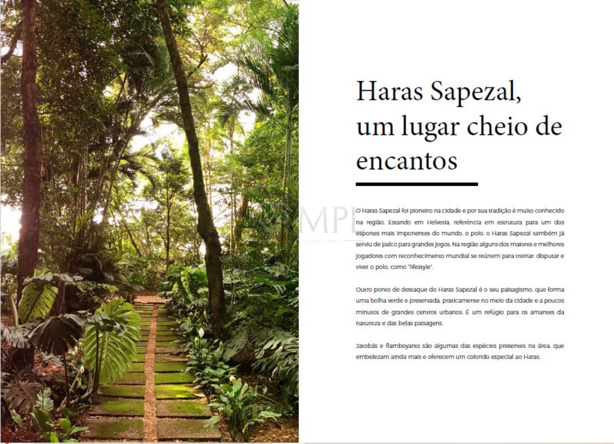 Terreno, 360 m² - Foto 7