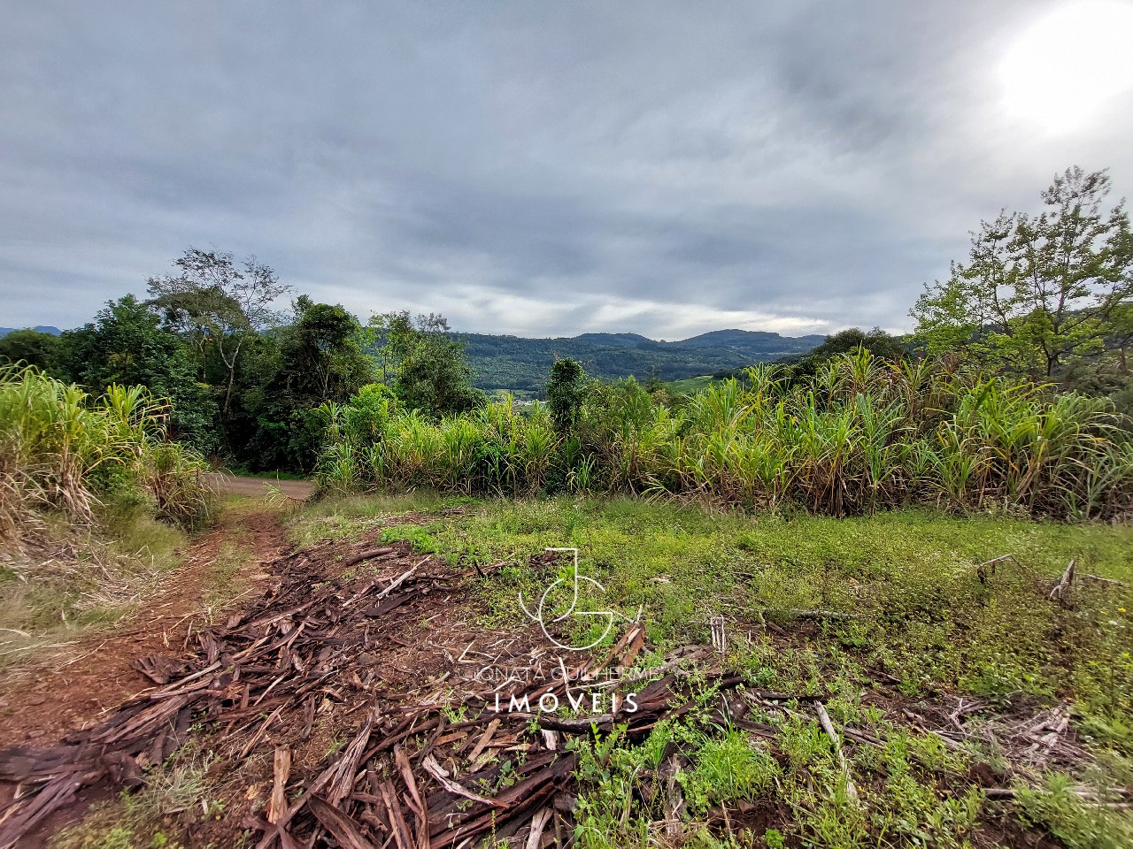 Terreno à venda em feliz-rs, são roque: oportunidade única n