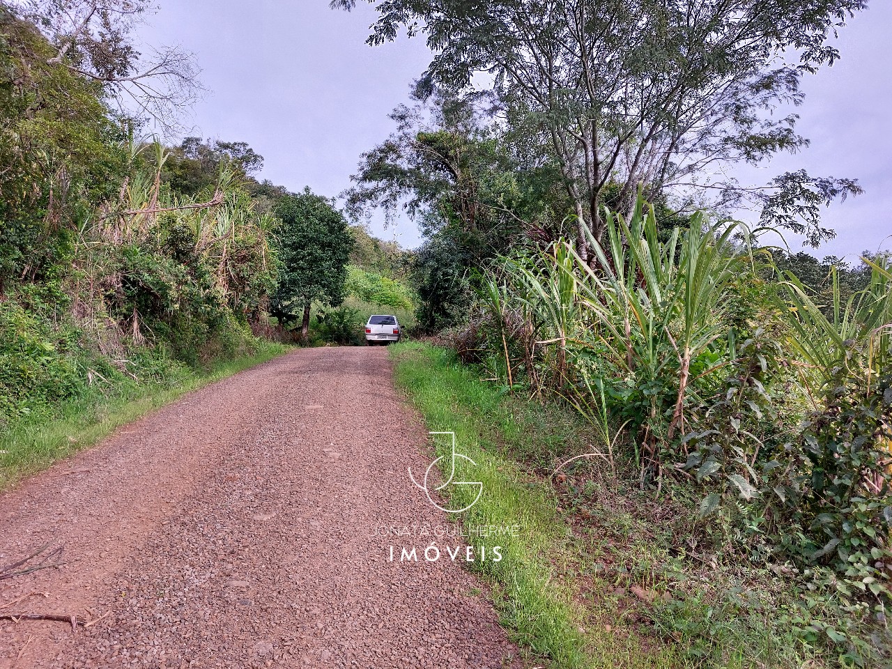 Terreno à venda em feliz-rs, são roque: oportunidade única n