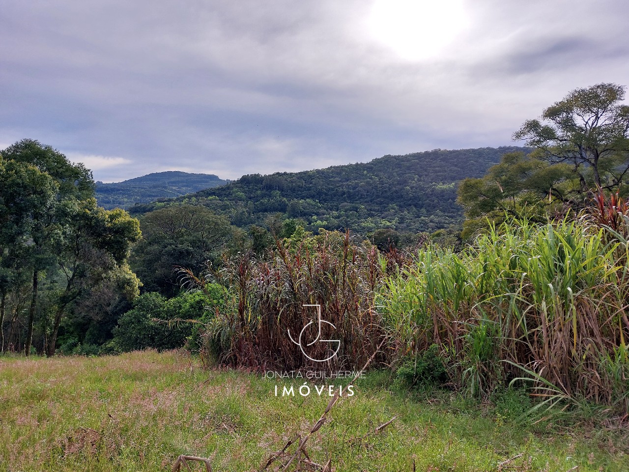Terreno à venda em feliz-rs, são roque: oportunidade única n