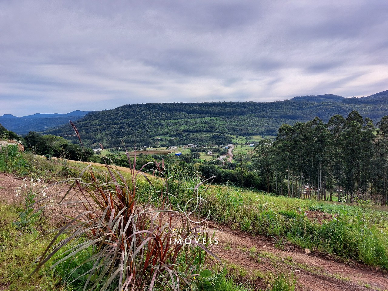 Terreno à venda em feliz-rs, são roque: oportunidade única n