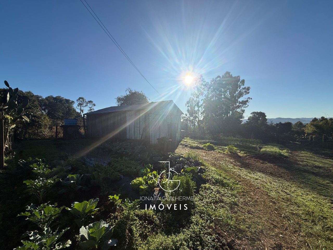 Oportunidade única: sítio à venda em feliz-rs, bairro morro 