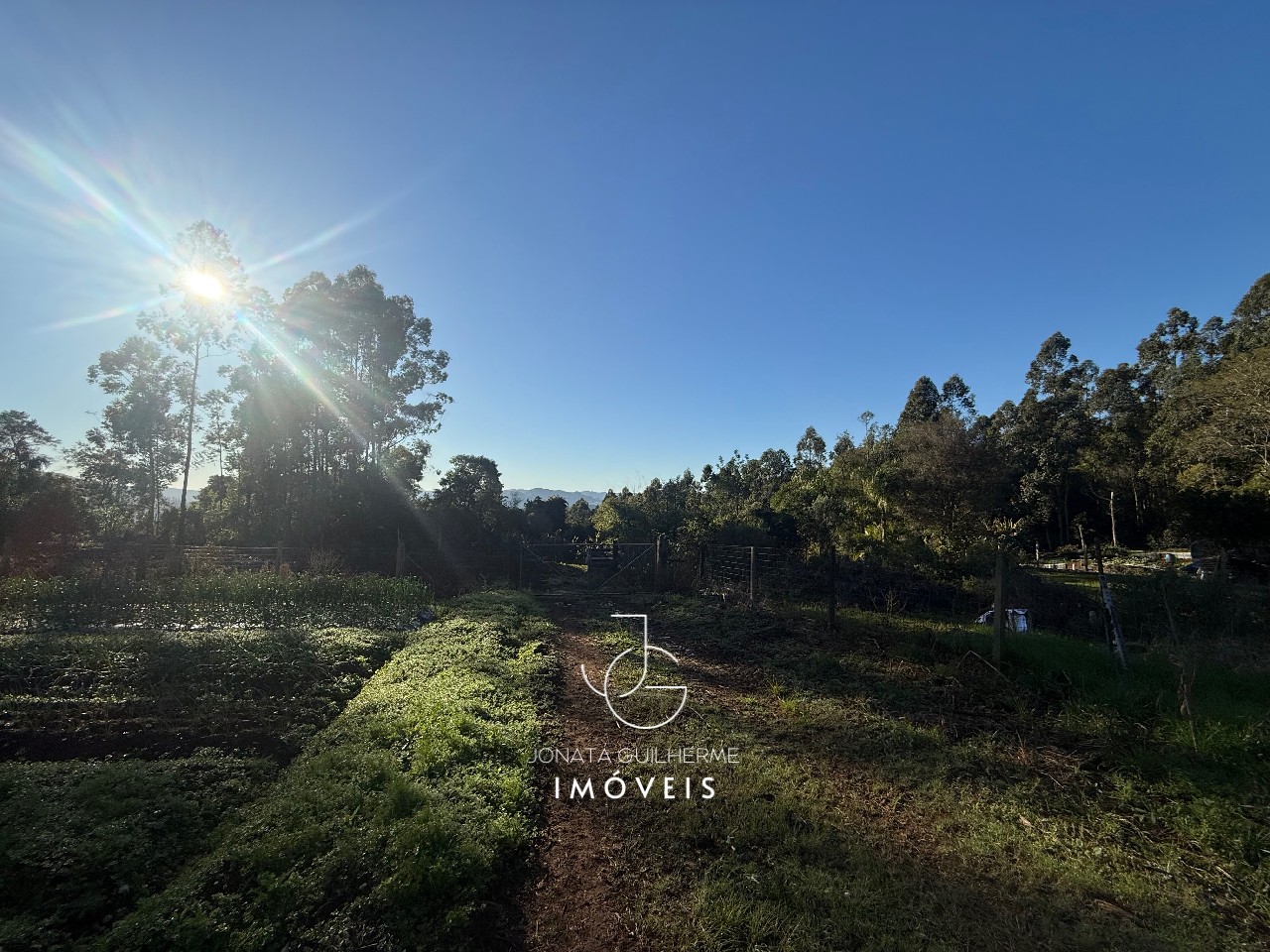 Oportunidade única: sítio à venda em feliz-rs, bairro morro 