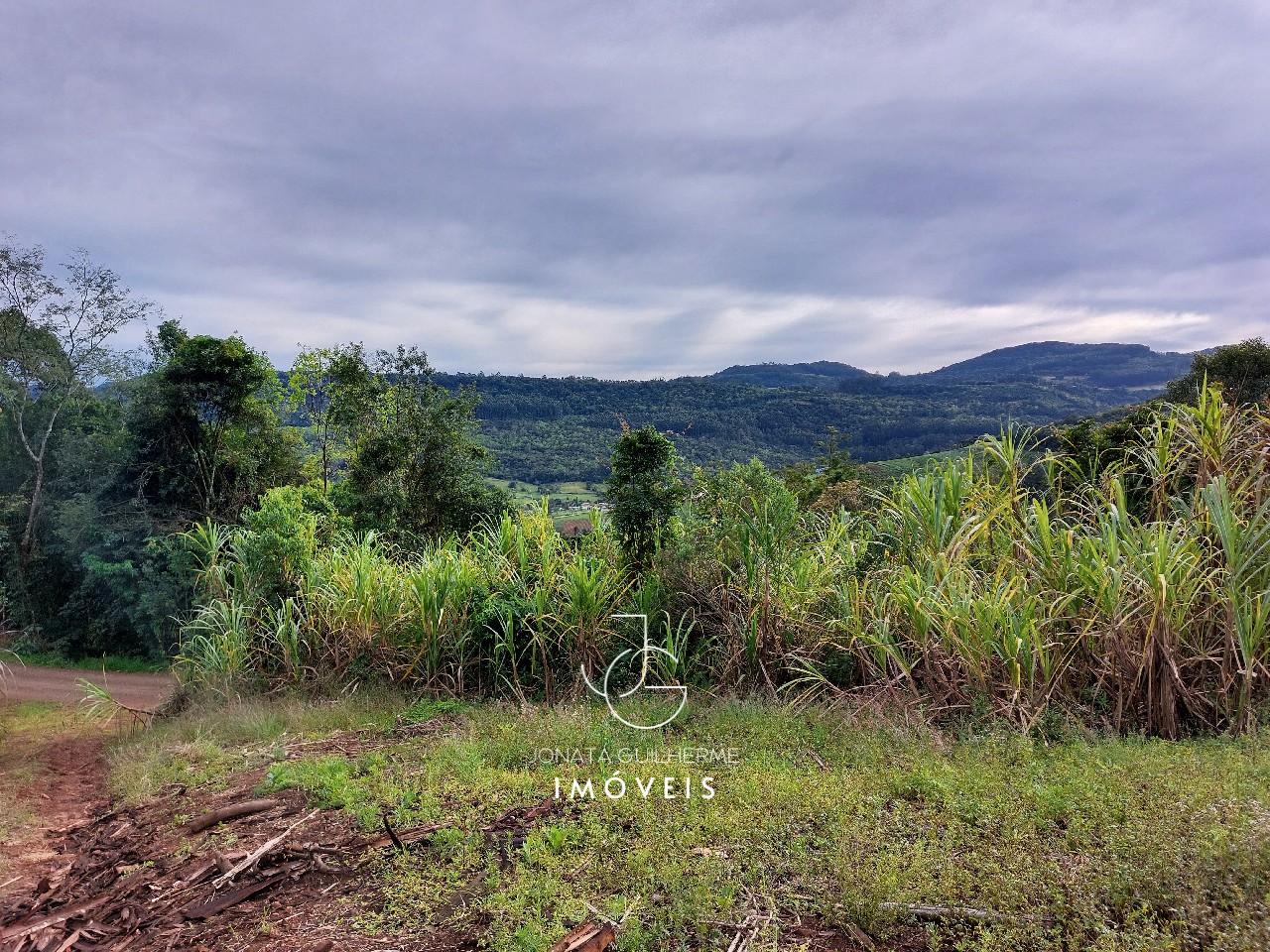 Terreno à venda em feliz-rs, são roque: oportunidade única n