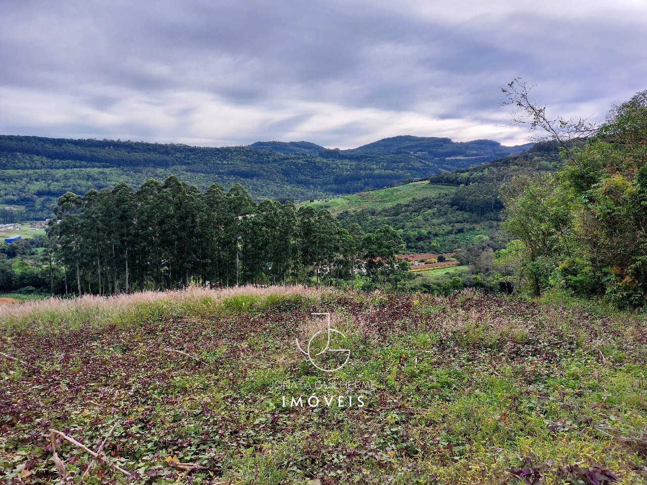 Terreno à venda em feliz-rs, são roque: oportunidade única n