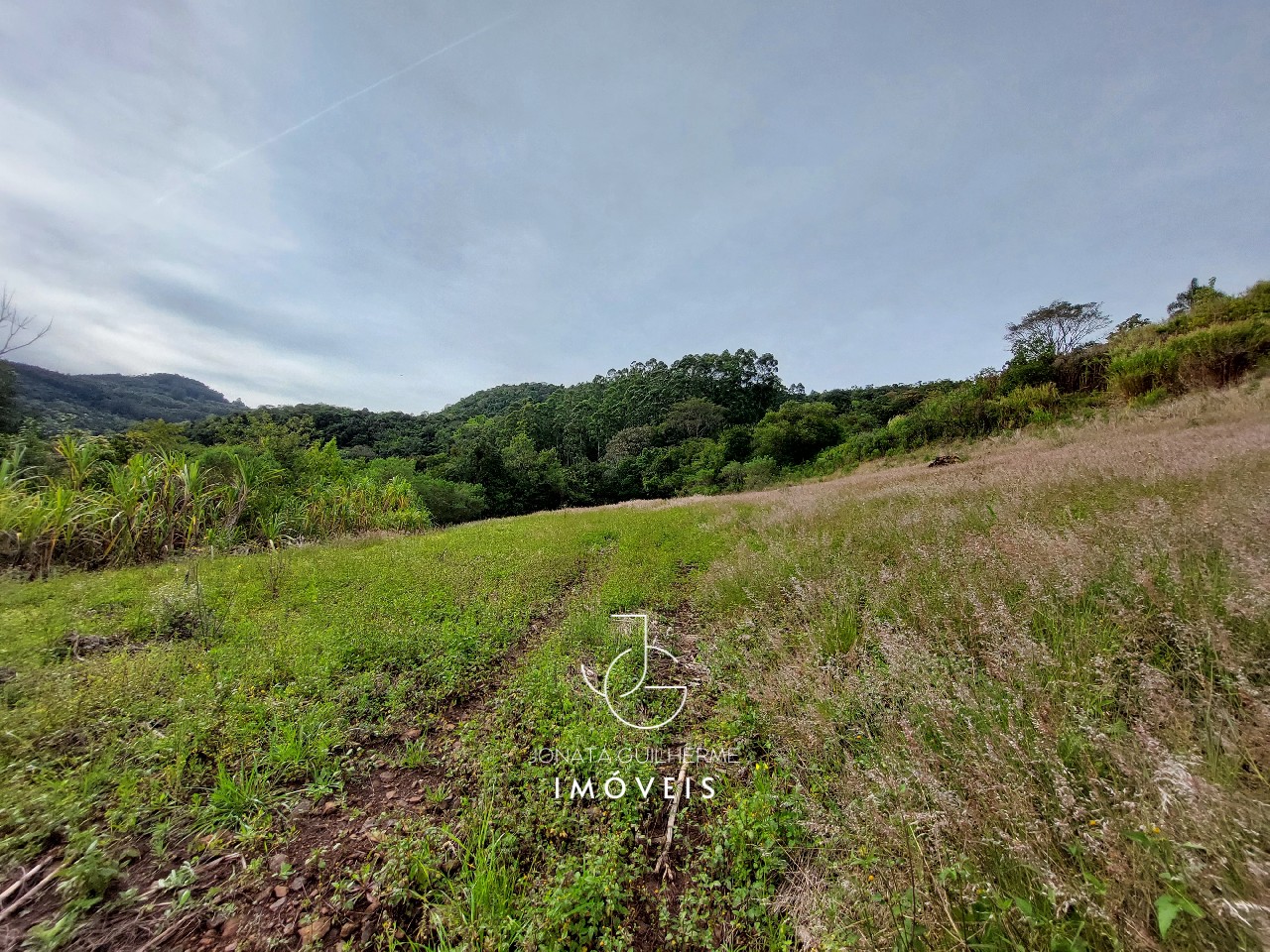 Terreno à venda em feliz-rs, são roque: oportunidade única n