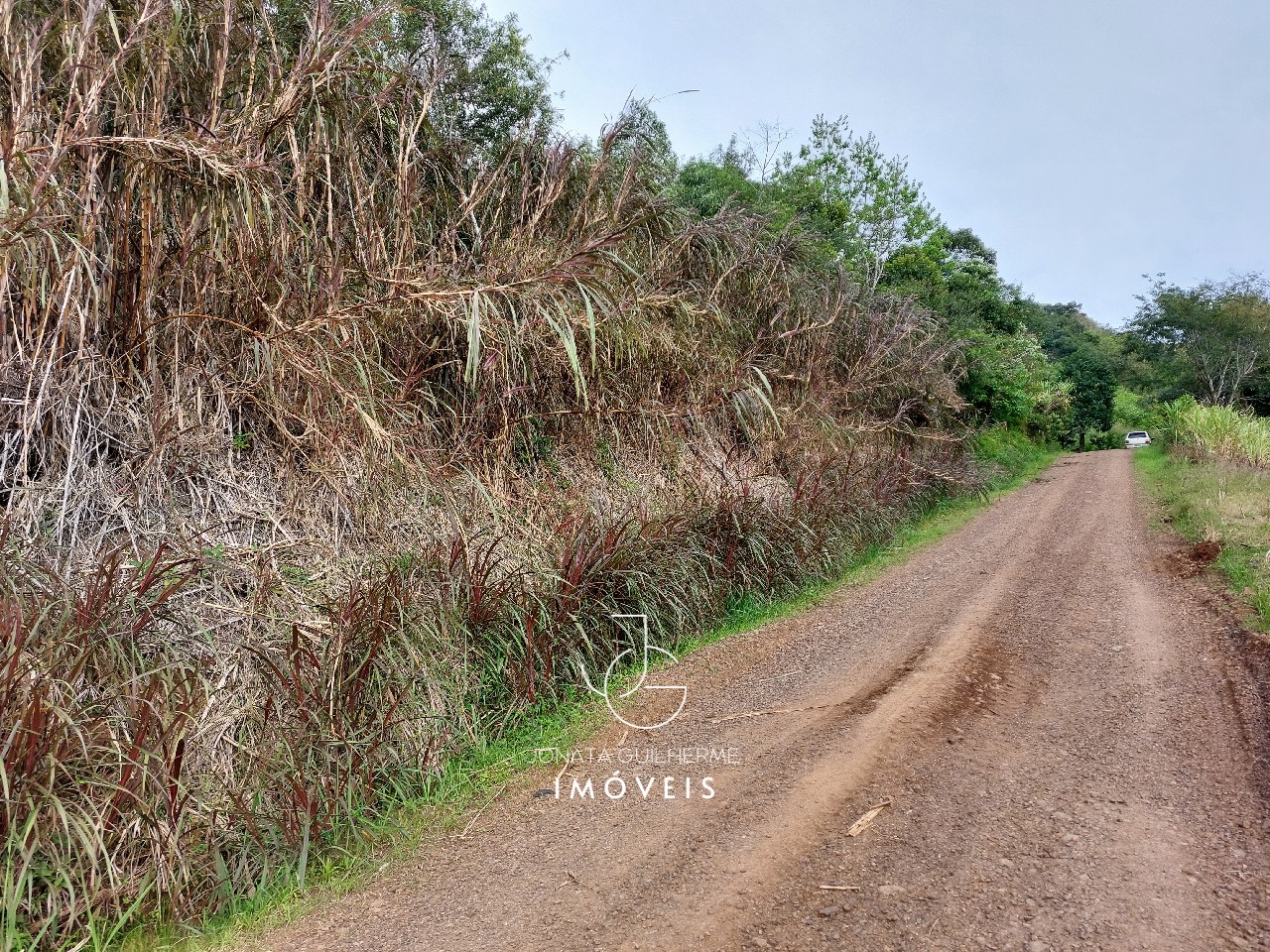 Terreno à venda em feliz-rs, são roque: oportunidade única n