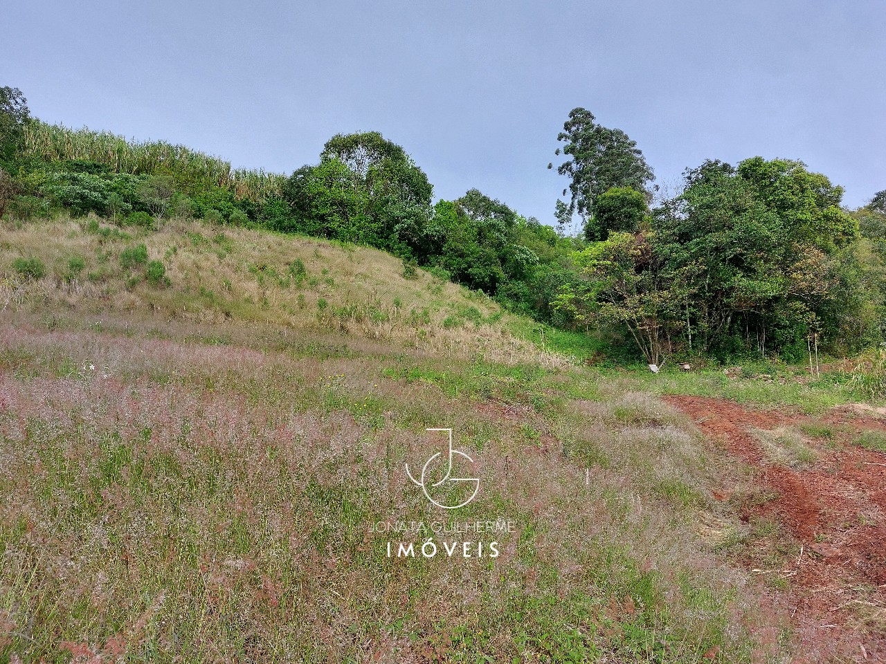 Terreno à venda em feliz-rs, são roque: oportunidade única n