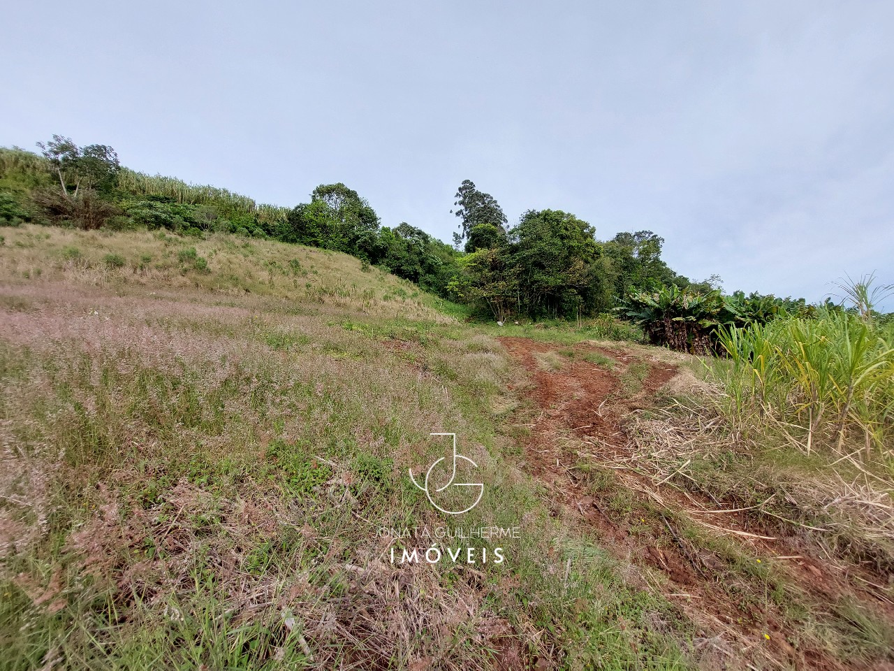 Terreno à venda em feliz-rs, são roque: oportunidade única n