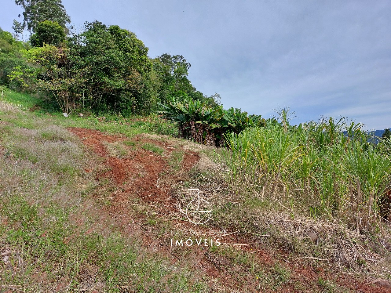 Terreno à venda em feliz-rs, são roque: oportunidade única n