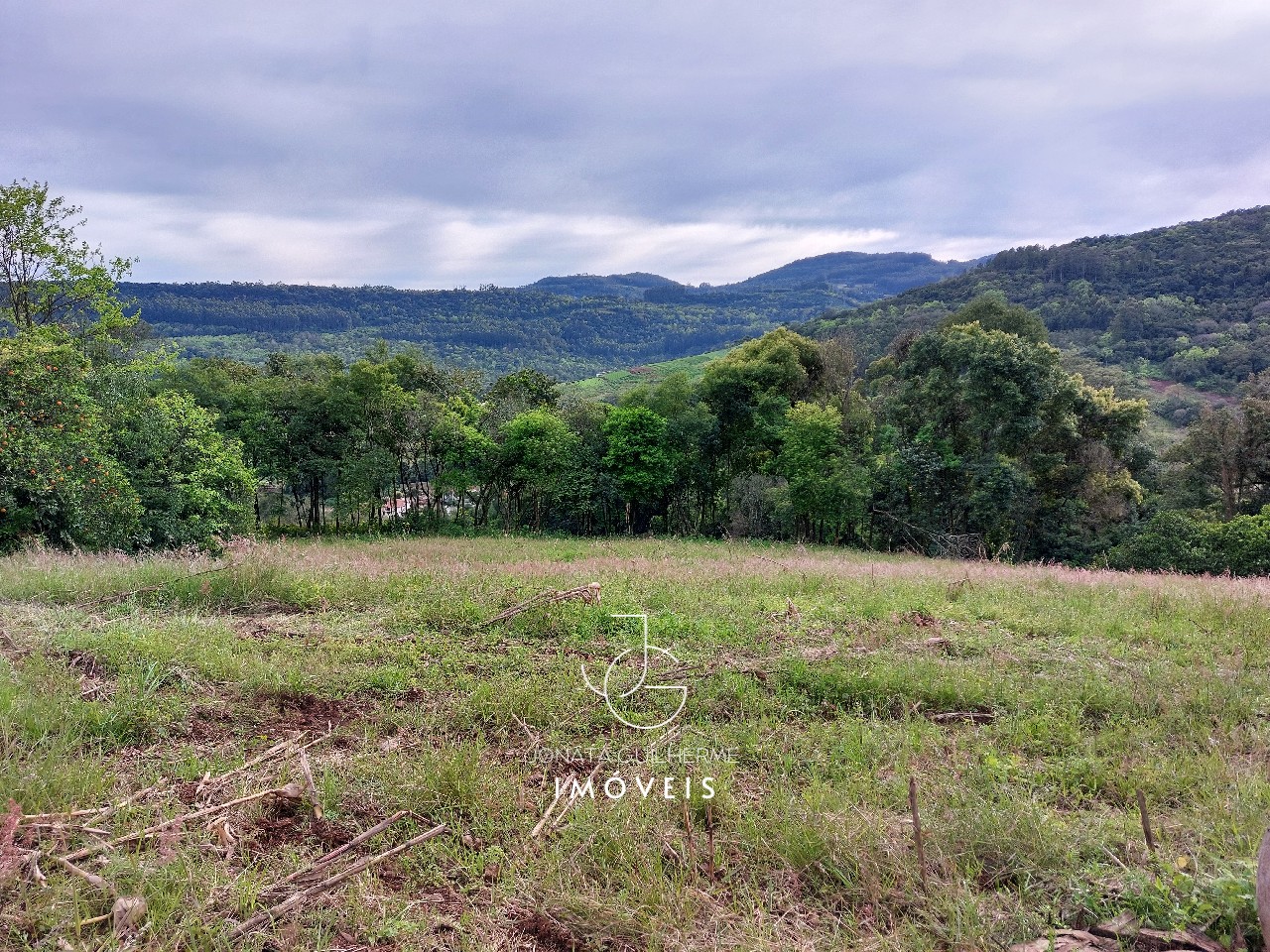 Terreno à venda em feliz-rs, são roque: oportunidade única n