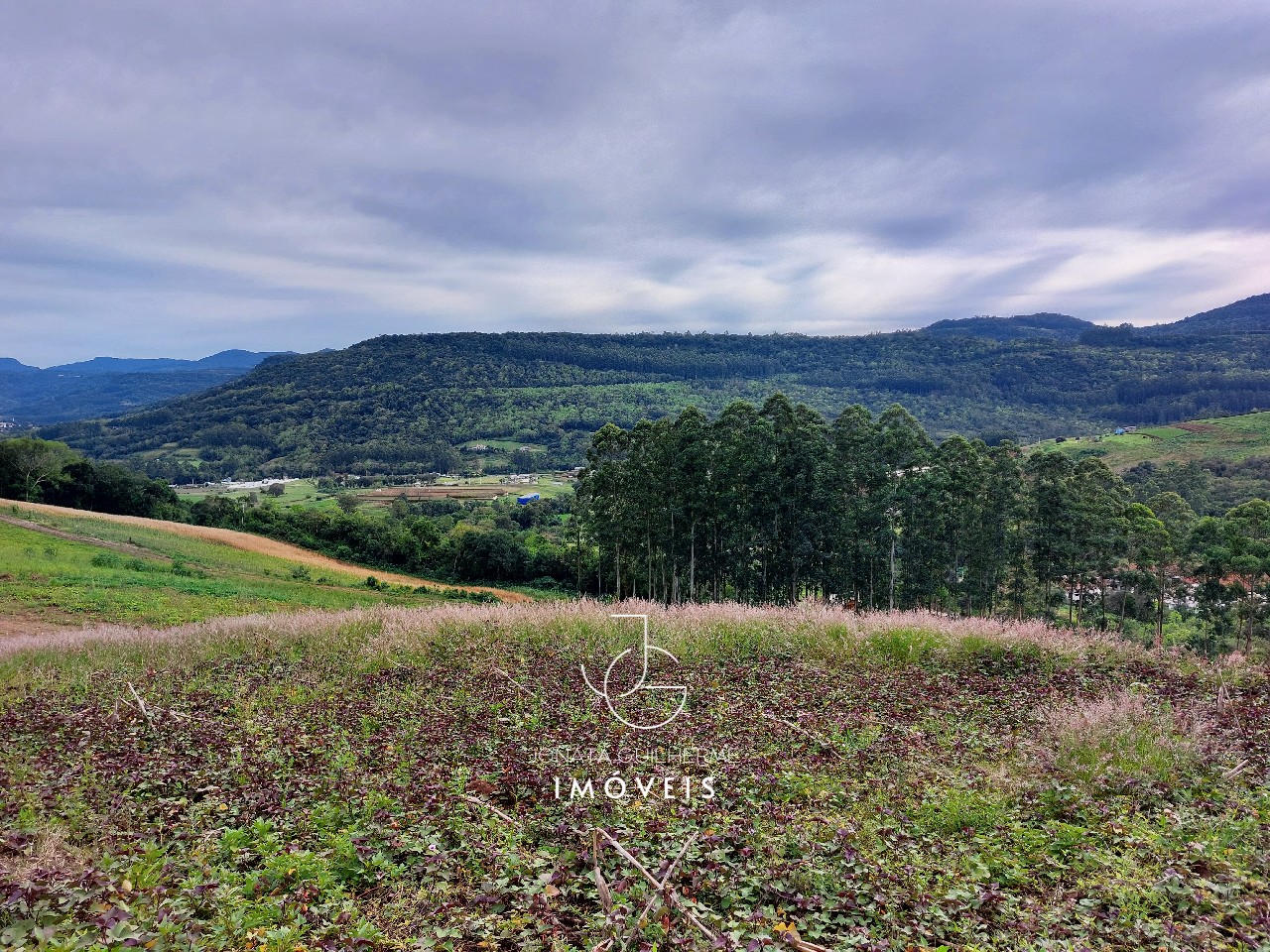 Terreno à venda em feliz-rs, são roque: oportunidade única n