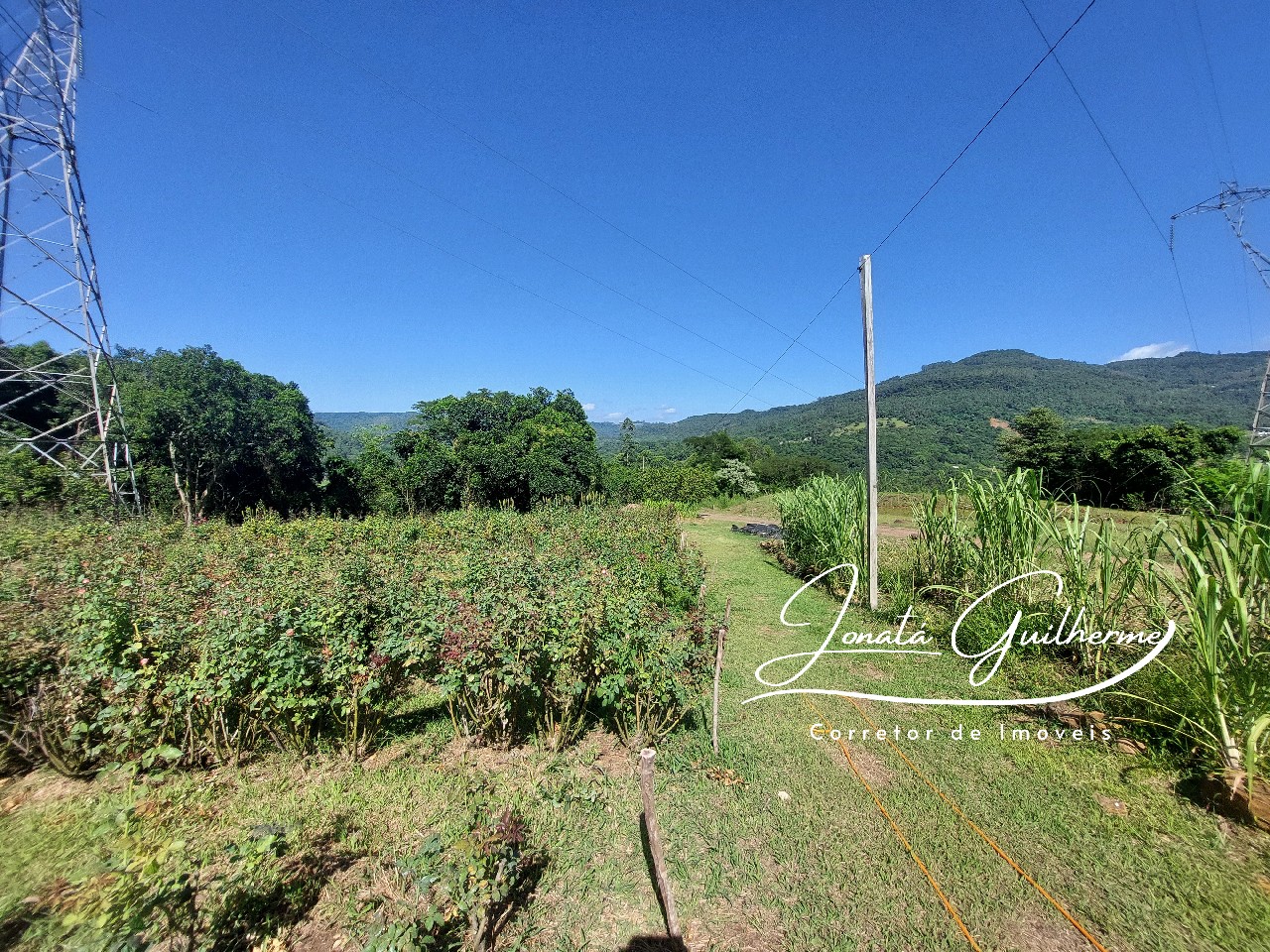 Chácara à venda em Feliz-RS, bairro Bananal: 2 quartos, 1 sala, 1 banheiro, 1 vaga, 13 hectares de área!