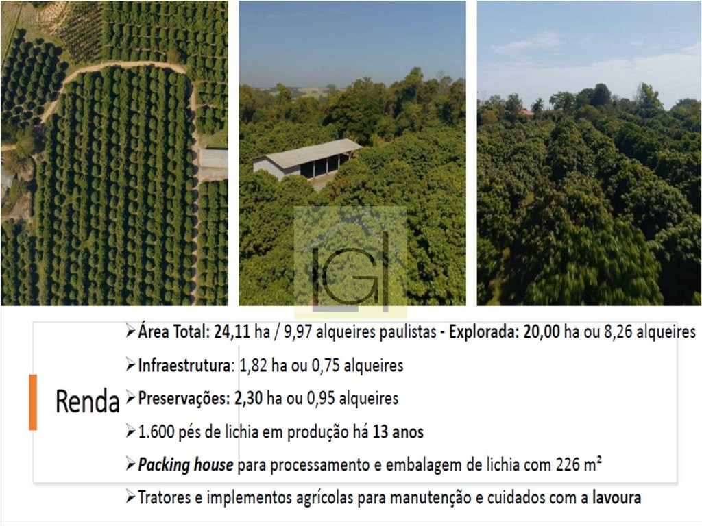 NEGÓCIO DE OPORTUNIDADE - SÍTIO EM PORTO FELIZ