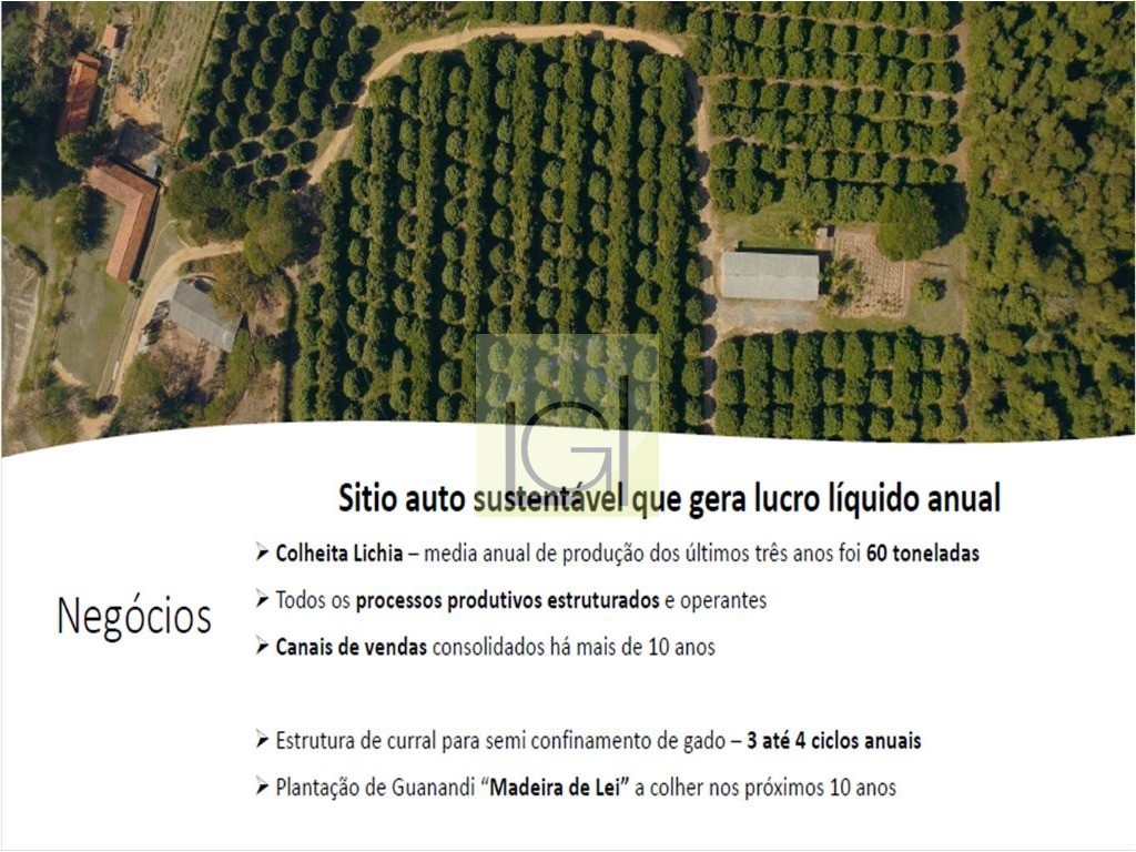 NEGÓCIO DE OPORTUNIDADE - SÍTIO EM PORTO FELIZ