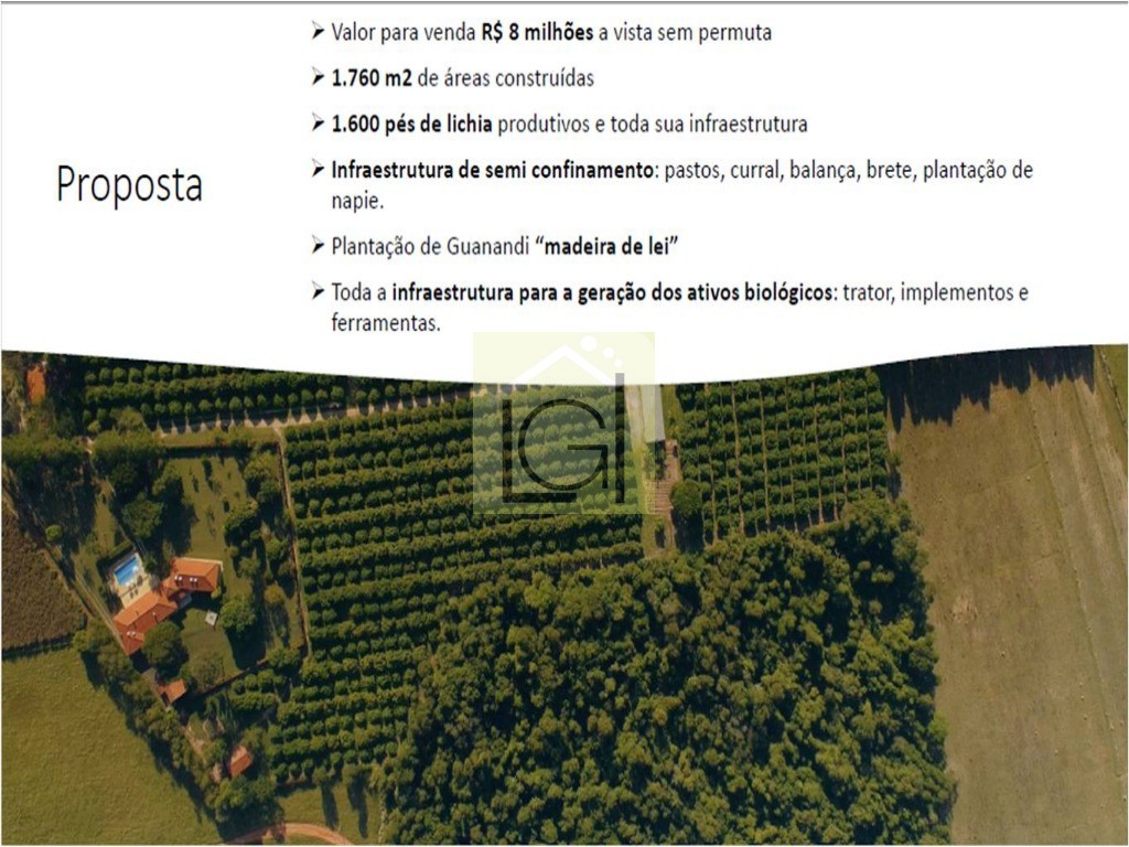NEGÓCIO DE OPORTUNIDADE - SÍTIO EM PORTO FELIZ