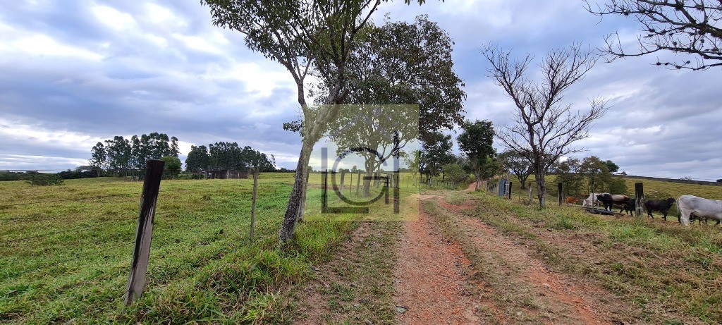 SÍTIO MISTO em PORTO FELIZ - SP, ESTRADA DA GLORIA