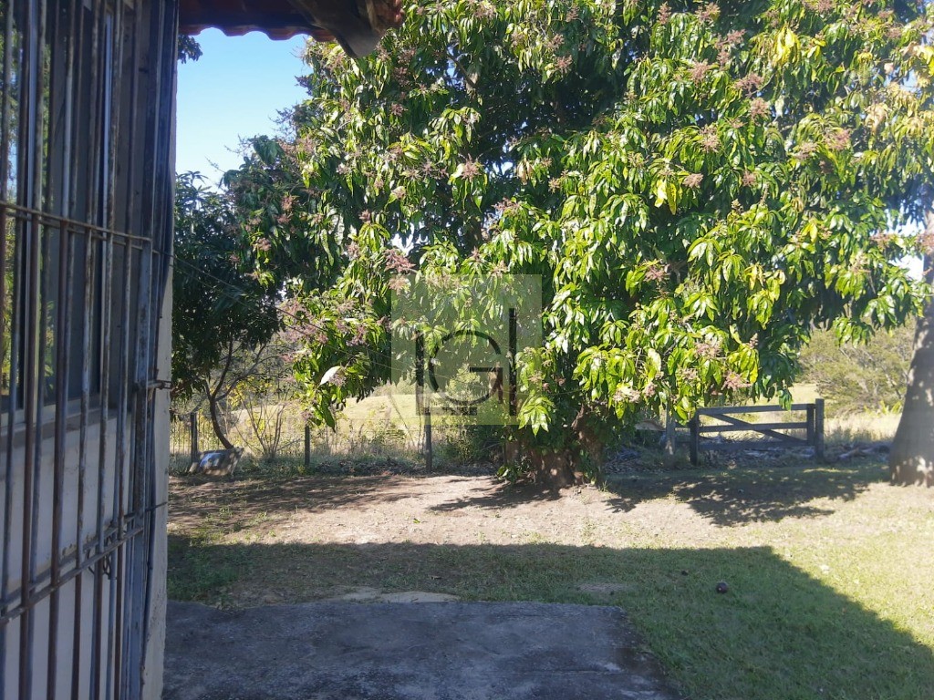 CHÁCARA RURAL em PORTO FELIZ - SP, Gramado