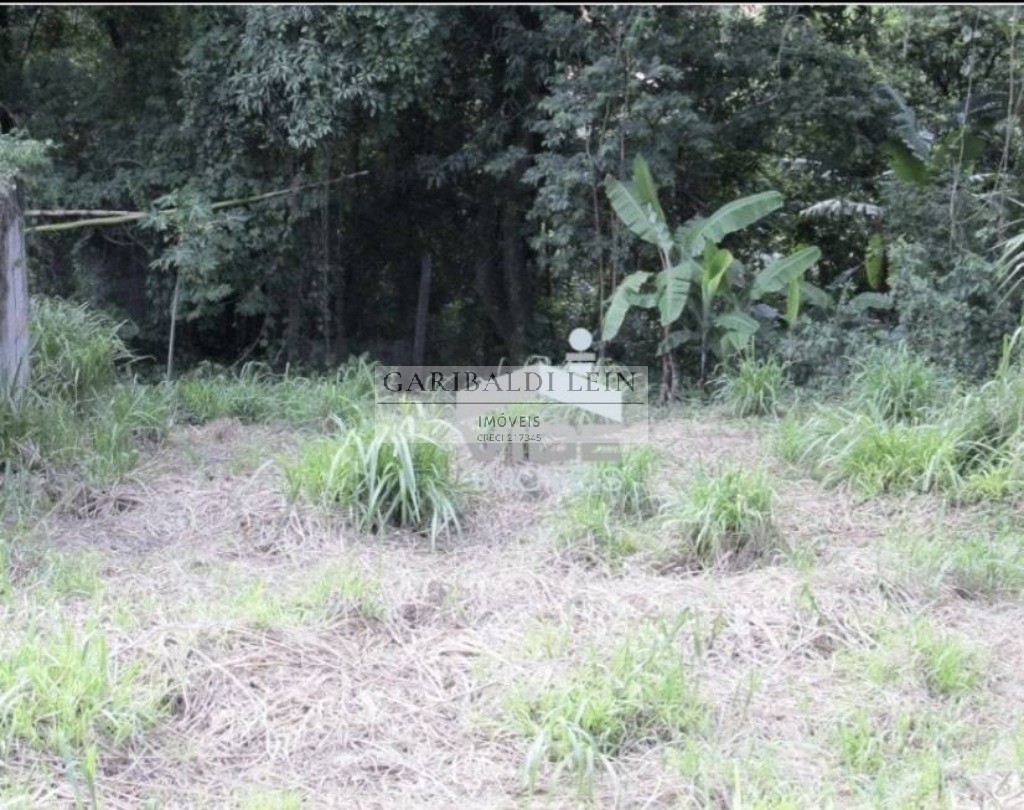 Terreno residencial em campinas - sp, jardim sorirama (sousa