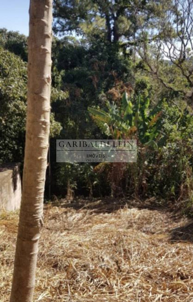 Terreno residencial em campinas - sp, jardim sorirama (sousa