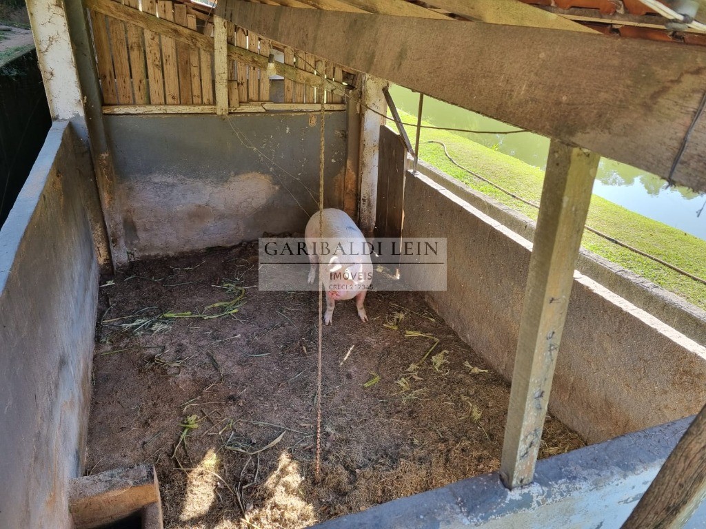 Chacara rural em amparo - sp, bairro dos pedrosos
