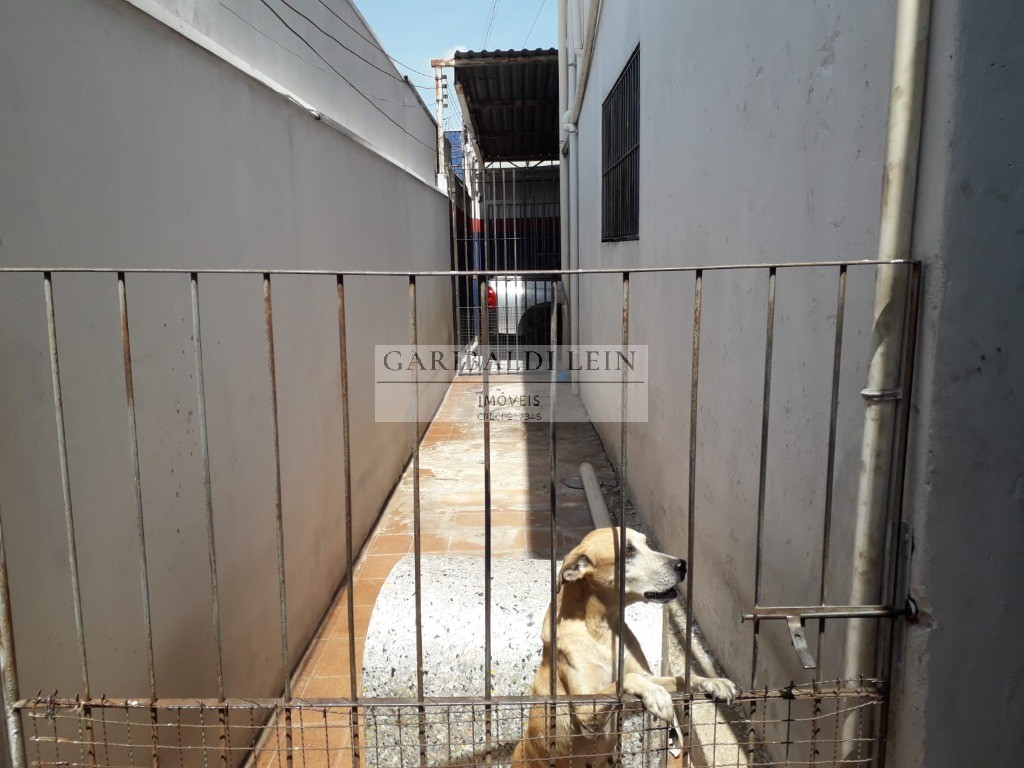 Barracao comercial em campinas - sp, jardim eulina
