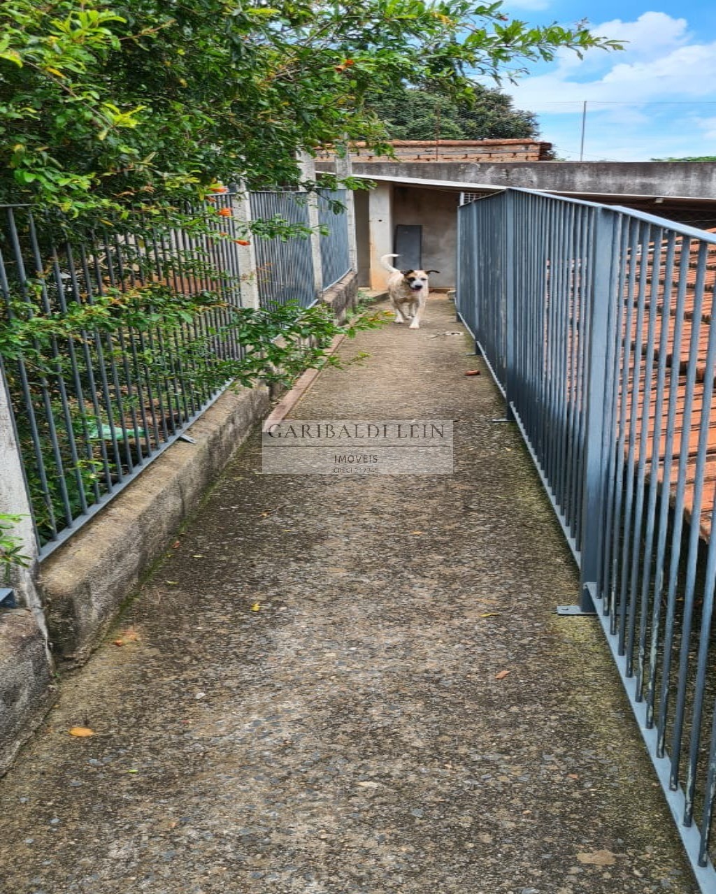 Chacara rural em amparo - sp, parque flamboyant
