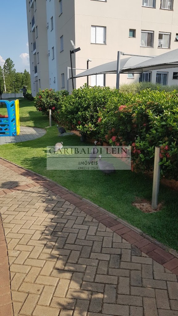 Apartamento residencial em campinas - sp, jardim myrian more