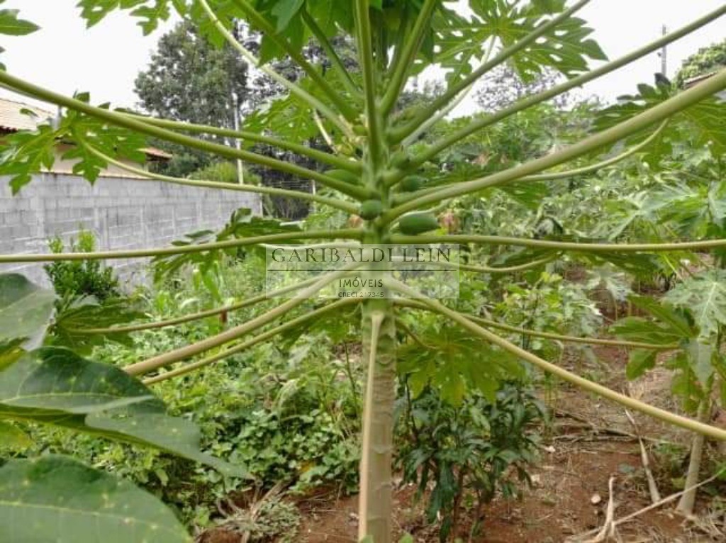 Chacara rural em tuiuti - sp, jardim maranata - foto 27