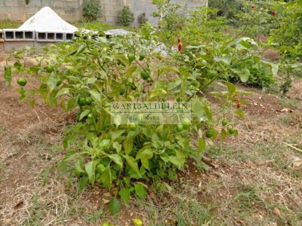 Chacara rural em tuiuti - sp, jardim maranata - foto 29
