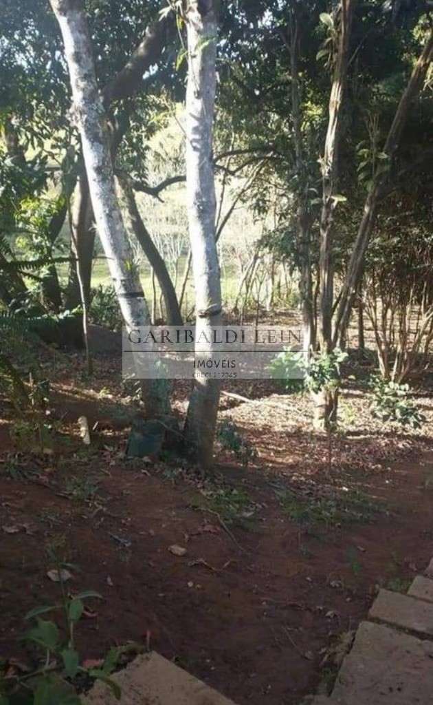 Chácara, 3 quartos, 4300 m² - Foto 17