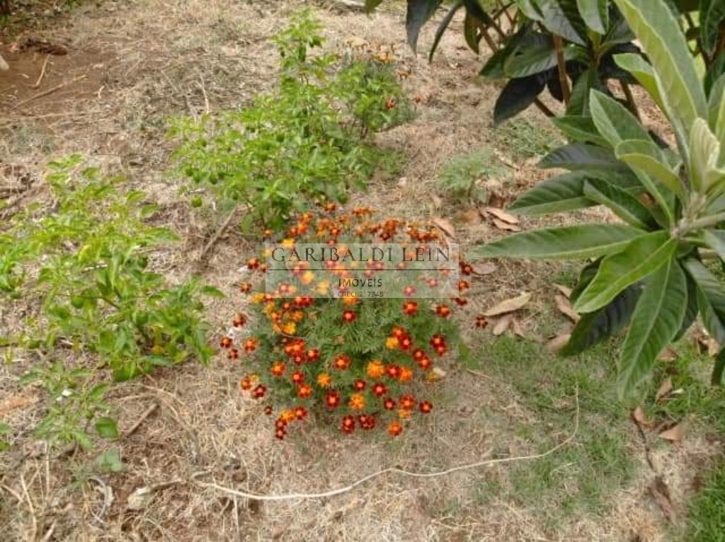 Chacara rural em tuiuti - sp, jardim maranata - foto 32