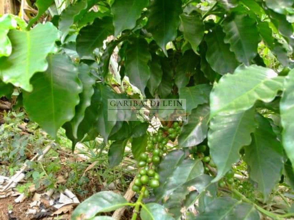 Chacara rural em tuiuti - sp, jardim maranata - foto 24