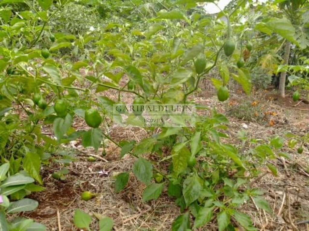 Chacara rural em tuiuti - sp, jardim maranata - foto 28